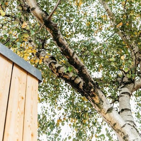 Carmen Eco-Pod / Treehouse, Close To Cabot Circus 布里斯托 外观 照片