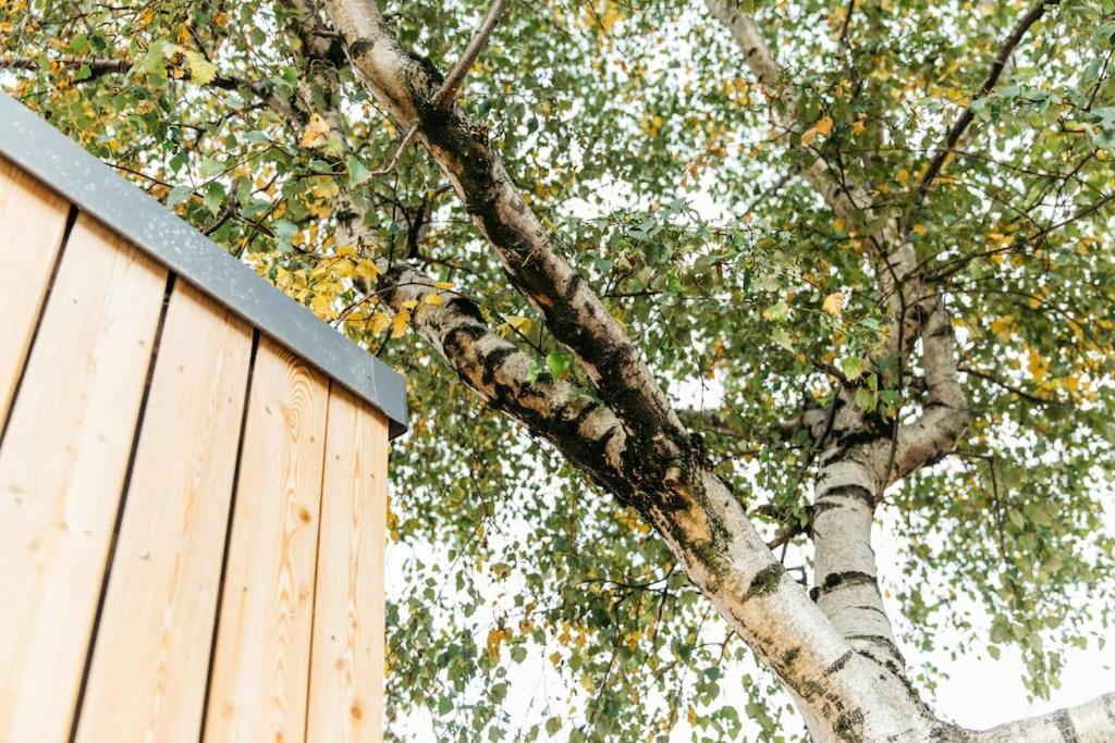 Carmen Eco-Pod / Treehouse, Close To Cabot Circus 布里斯托 外观 照片